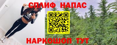 молекула духа Заводоуковск