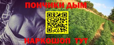 молекула духа Заводоуковск