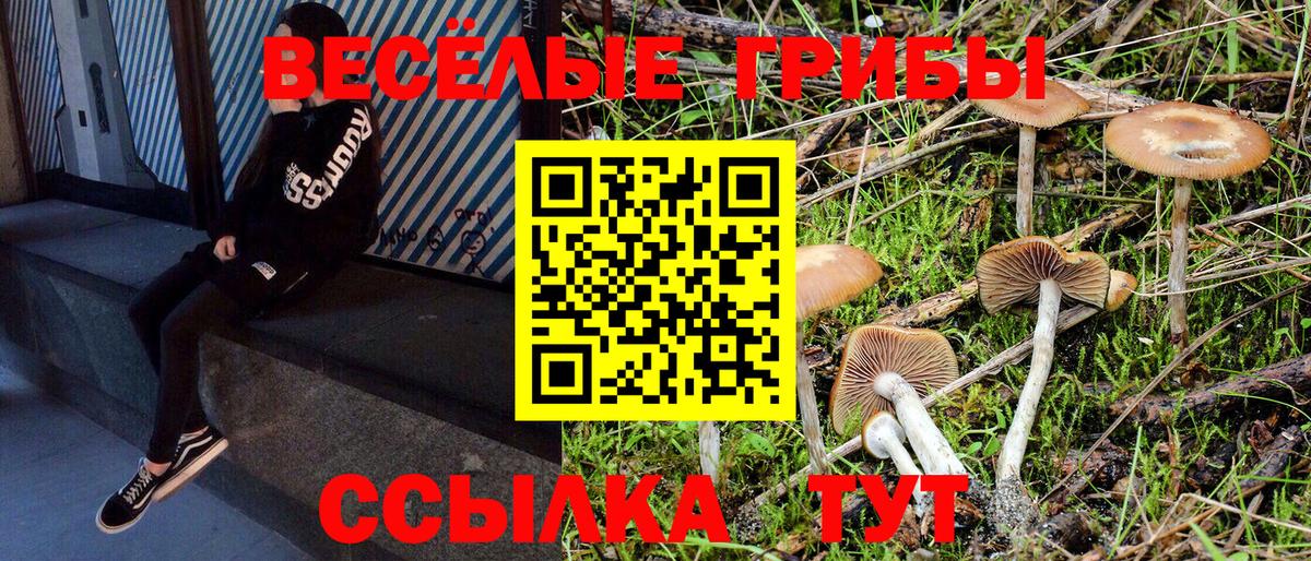 Лянтор  Псилоцибиновые грибы прущие грибы  Псилоцибиновые грибы Psilocybe  Вход с VPN 